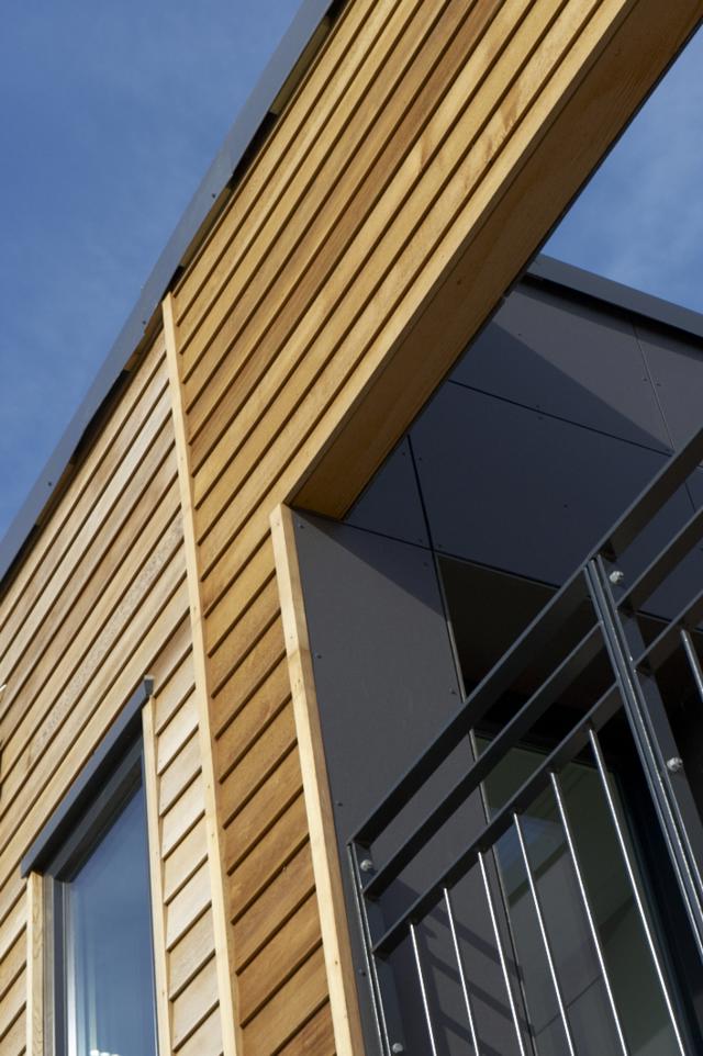 Canadisk cedertræ | W336E, endenot inspiration