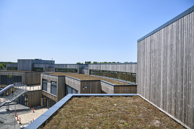 SUNDSKOLEN_nykøbingF_19.jpg