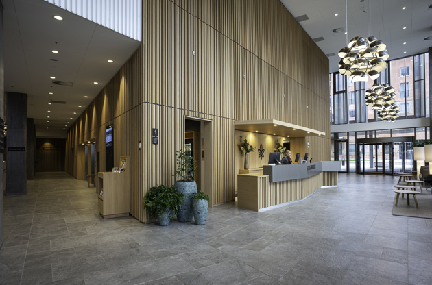 L1003938.jpg