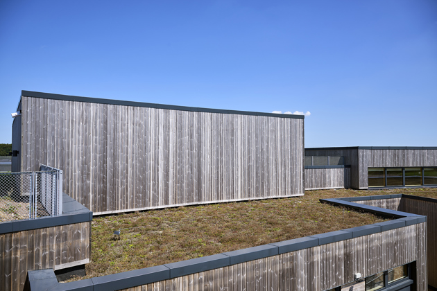 SUNDSKOLEN_nykøbingF_20.jpg